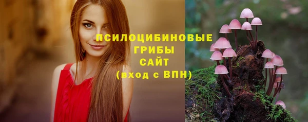 прущие крисы Алексеевка