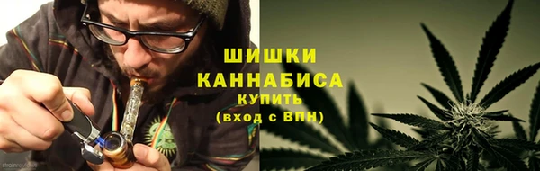 spice Алзамай