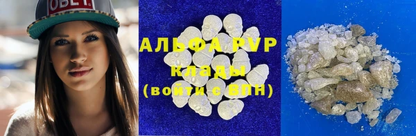 spice Алзамай