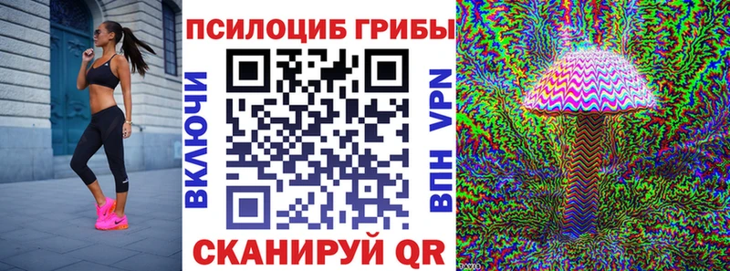 Псилоцибиновые грибы Psilocybine cubensis  Мураши 