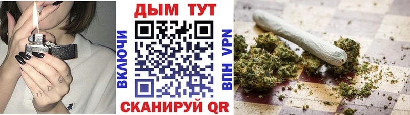 Бошки Шишки марихуана  Мураши 